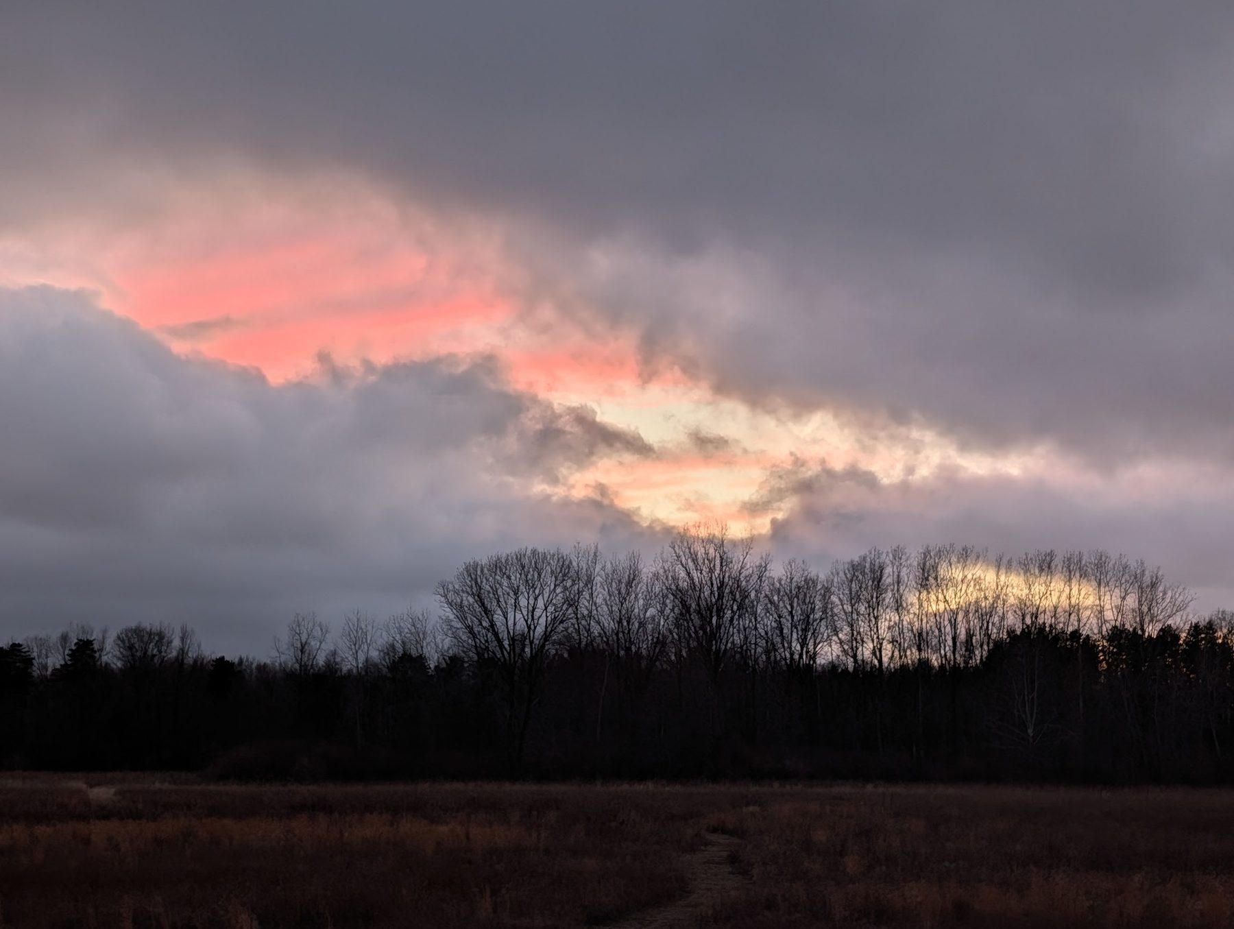 Sunset over a wet meadow: a bare treeline in silhouette beneath heavy grey cloud, split by a break of coral and gold light, with a footpath running into the field.